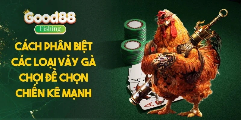 Cách Phân Biệt Các Loại Vảy Gà Chọi Để Chọn Chiến Kê Mạnh
