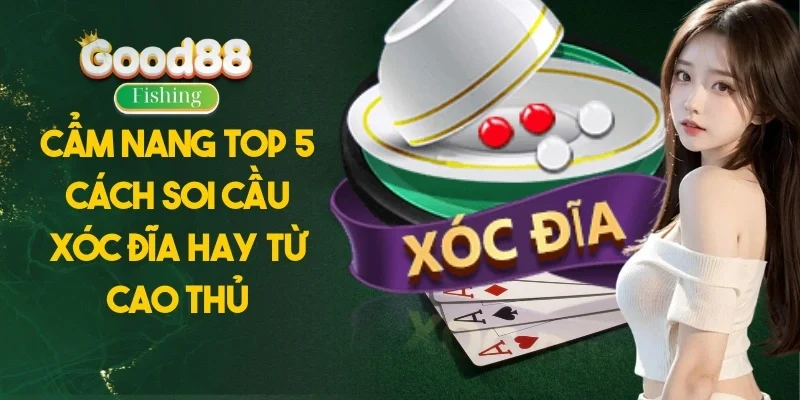Cẩm Nang Top 5 Cách Soi Cầu Xóc Đĩa Hay Từ Cao Thủ