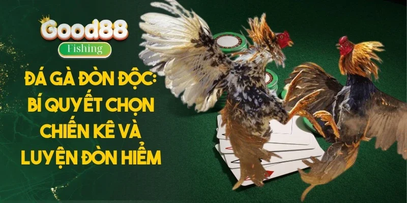 Đá Gà Đòn Độc: Bí Quyết Chọn Chiến Kê Và Luyện Đòn Hiểm