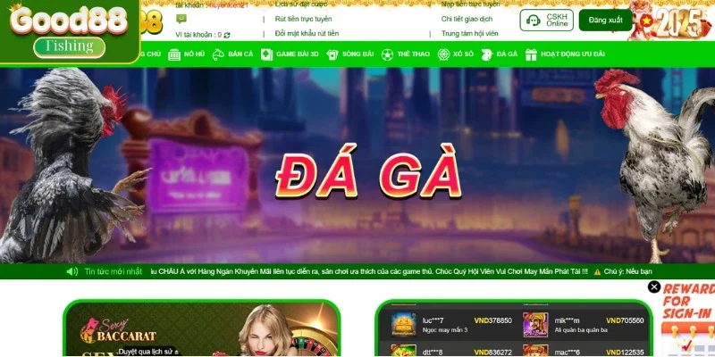 Tìm hiểu đá gà Good88 là gì