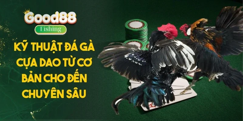 Kỹ Thuật Đá Gà Cựa Dao Từ Cơ Bản Cho Đến Chuyên Sâu