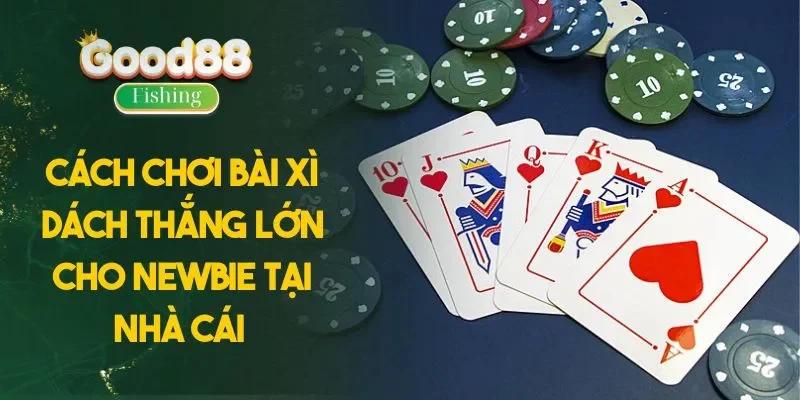 Cách Chơi Bài Xì Dách Thắng Lớn Cho Newbie Tại Nhà Cái